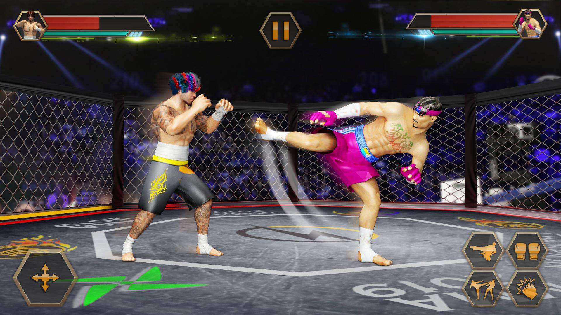 Karate Fighting Kung Fu Fighter Tiger MMA Fighting